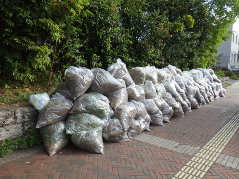 地域清掃４差し替え