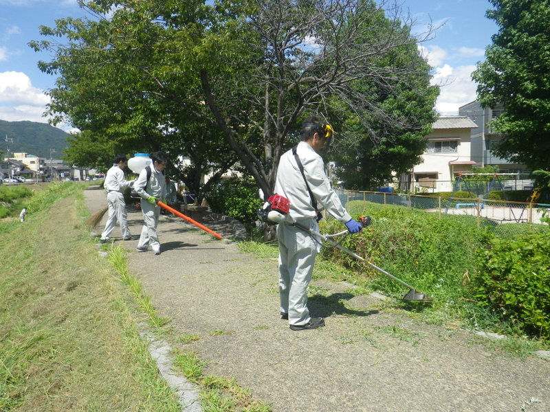 地域清掃６