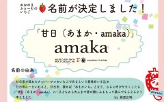 amaka披露