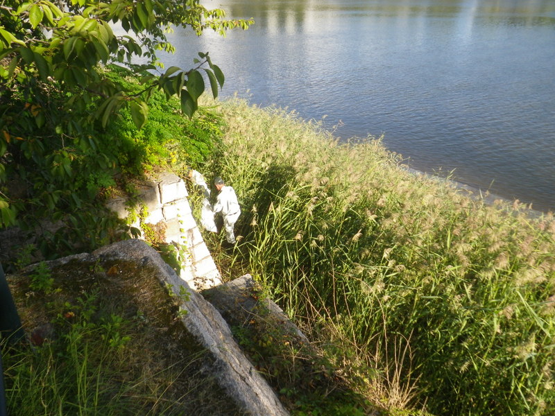 河川清掃9/18-4