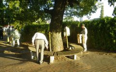 河川清掃19.10.16-1