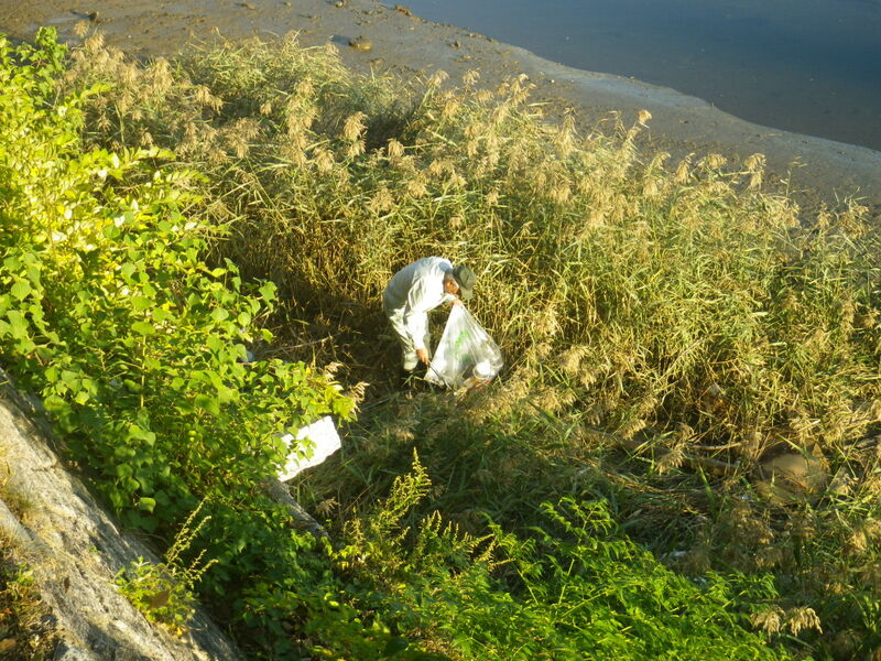 河川清掃19.10.16-3