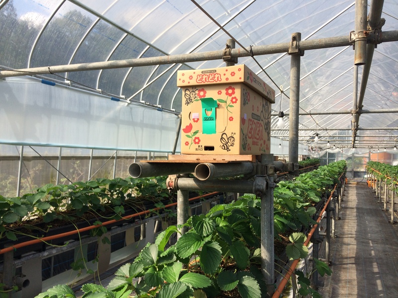 おおのきふぁーむ２