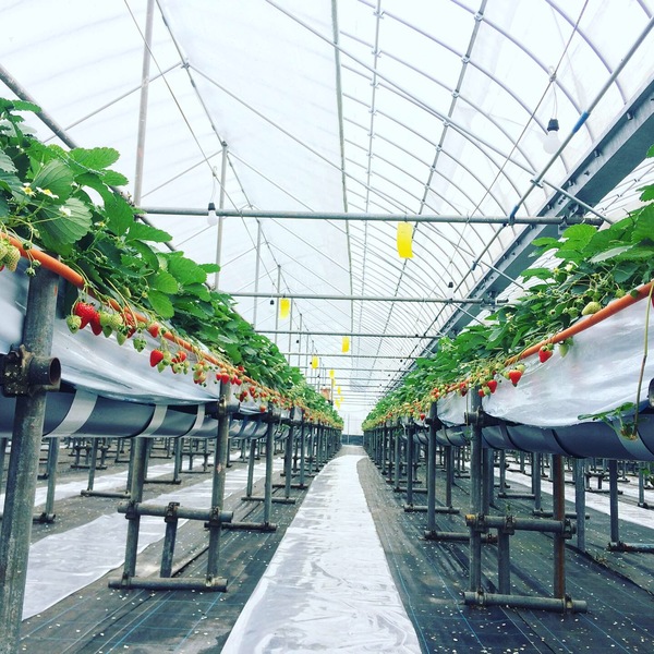 0c9adc3a-d543-4c84-a534-0235fa2c1813