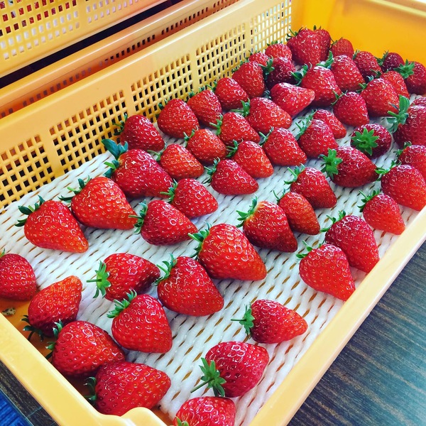 20d1f6e9-d5ea-46dc-acaf-9dbae2a036da