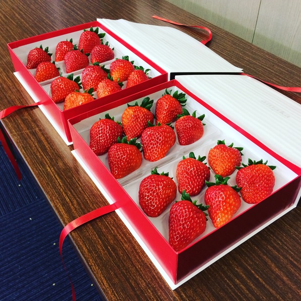 4d42f93d-04ca-45c5-81c7-f595be9be0d4