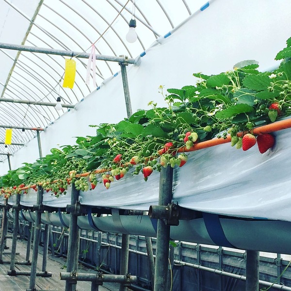 a0d02c79-fc7e-4e92-8aba-6c87aebf0937