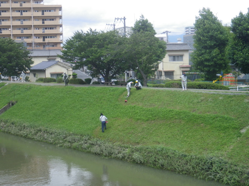 河川清掃R2.７月-8