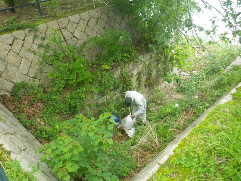 河川清掃R2.７月-3