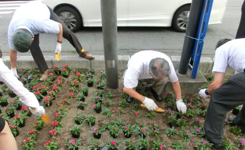 花植えナデシコ　1-1