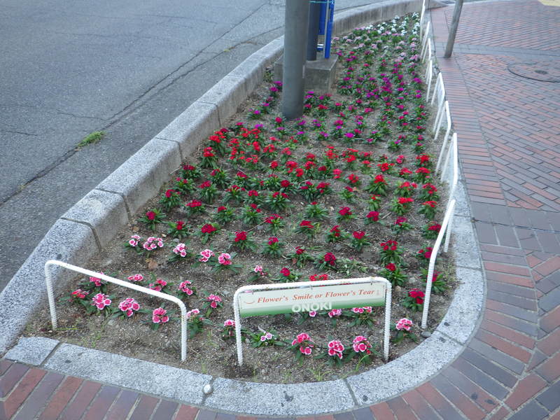 花植えナデシコ　1-2