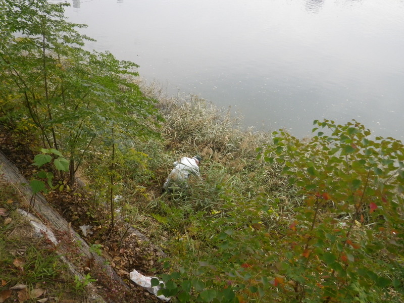 10.21河川清掃