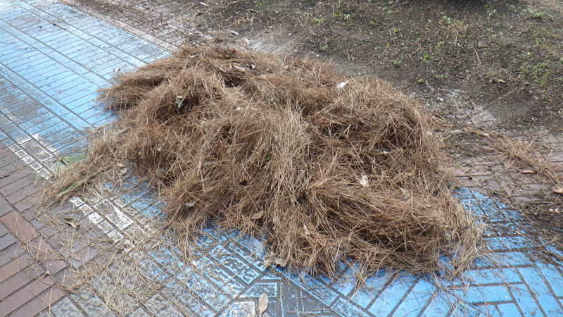 マイロード　1-3