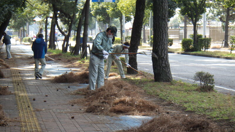 マイロード　1-2