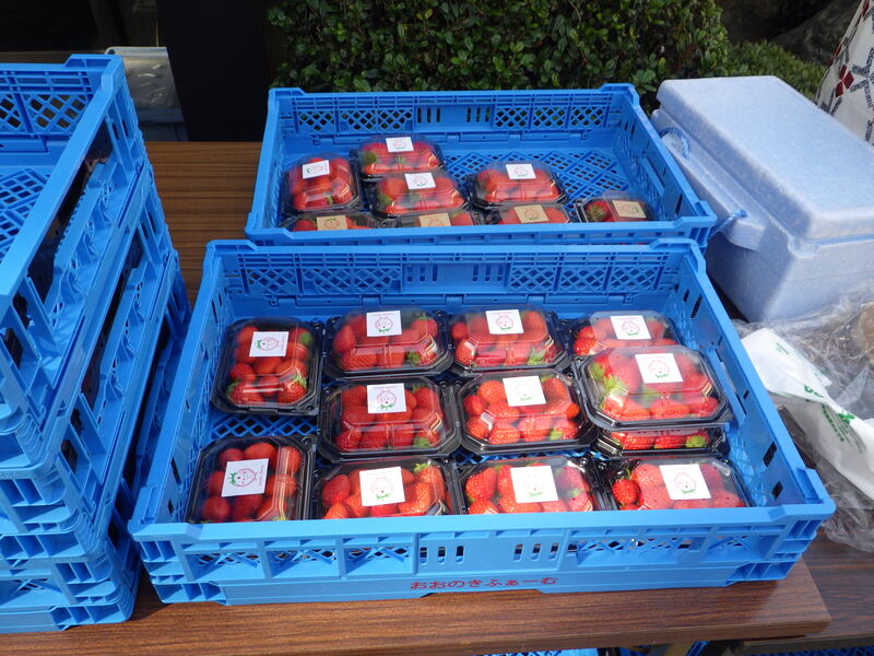 苺の直販の様子　1-2