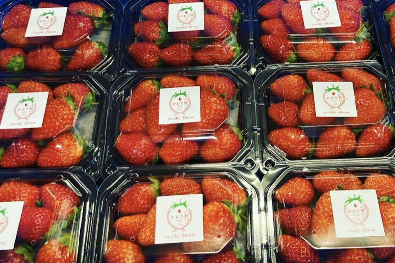 スクリーンショット 2021-02-19 10.30.56-2