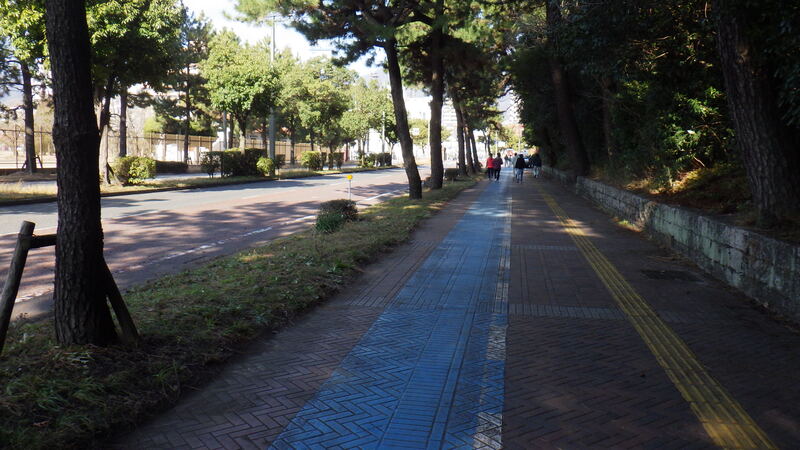 マイロード　1-6