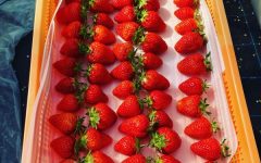 いちご直販　第10弾