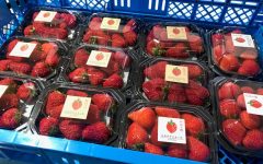 いちご直販第12弾