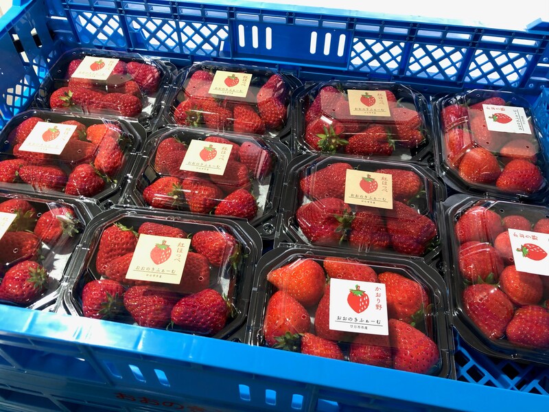 いちご直販第12弾