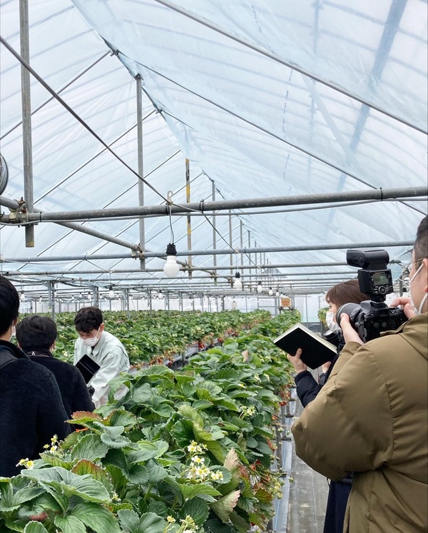 ffa2fb77d2fec0ed1dcc738acff2ece1dccbf8e76b847b6ff01da0b04e31aed9-2