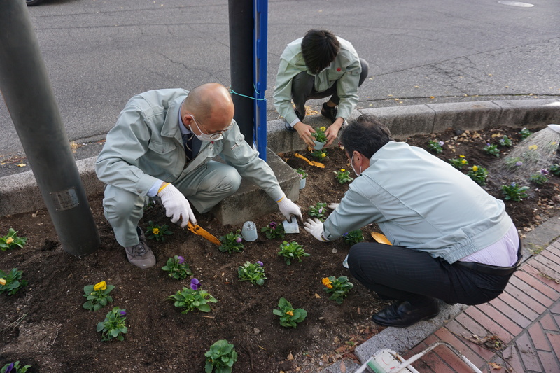 花植え　2022年11月　1-2