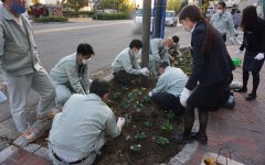 花植え　2022年11月　1-1