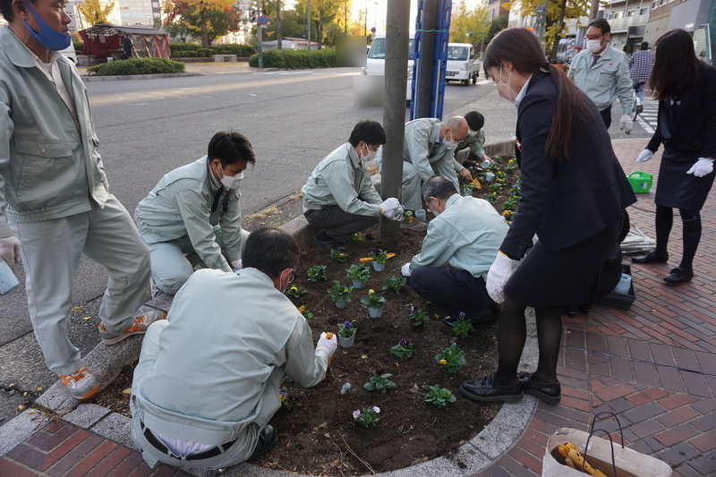 花植え　2022年11月　1-1