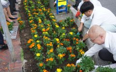 花植え　2023年6月　1-2