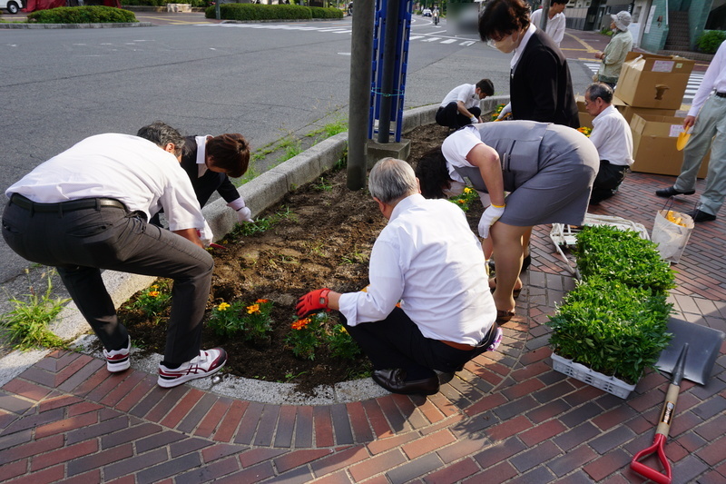 花植え　2023年6月　1-1